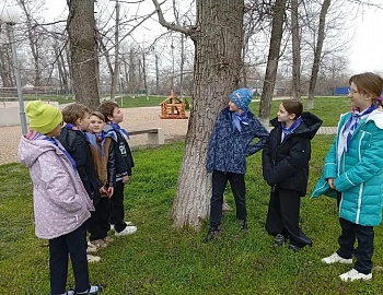 ��� ���������� ����������� ������ ������������ �������� �������� ��������